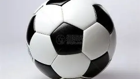 星河榜单冠军